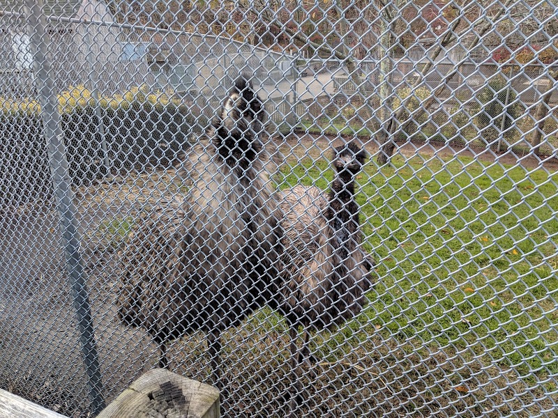 Holtsville Wildlife & Ecology Center photo 5