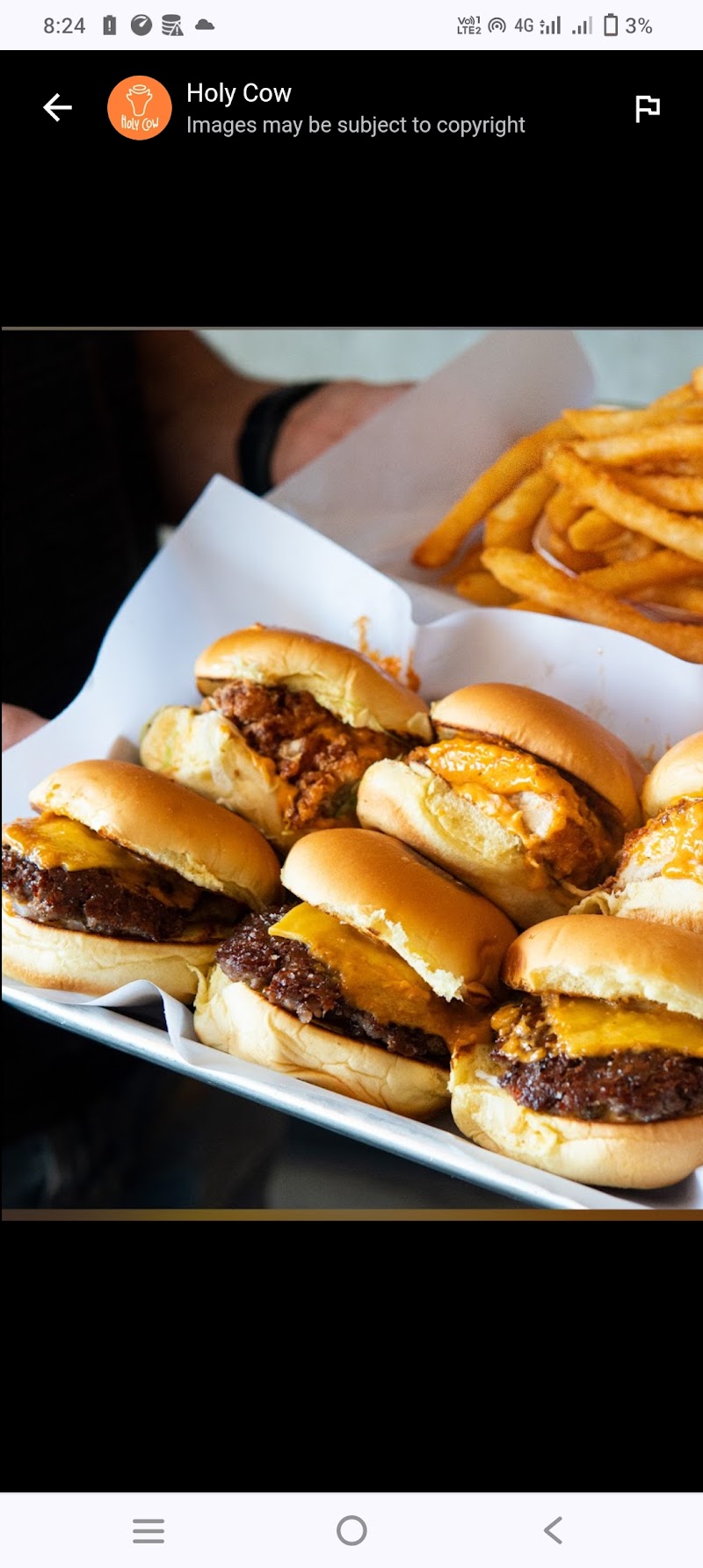 Holy Burger Uniondale photo 2