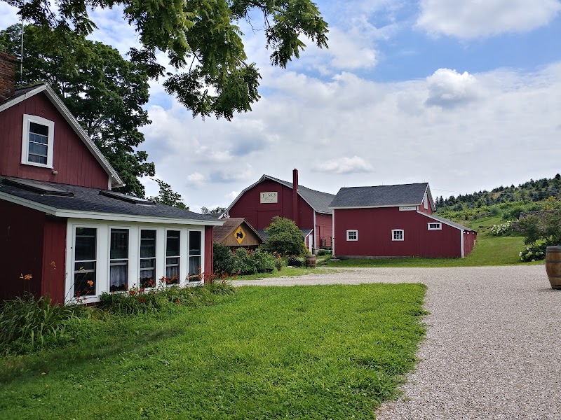 Homestead Farm of Jones Family Farms photo 2