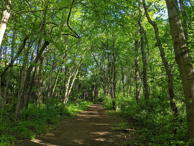 Hope Goddard Iselin Preserve photo 1