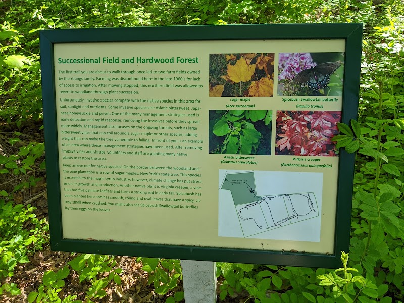 Hope Goddard Iselin Preserve photo 2
