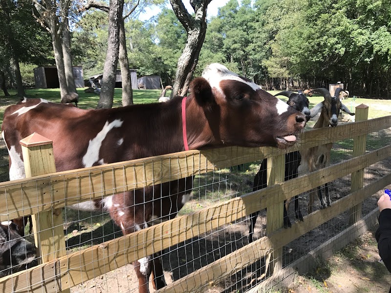 Hoyt Farm Nature Preserve photo 4