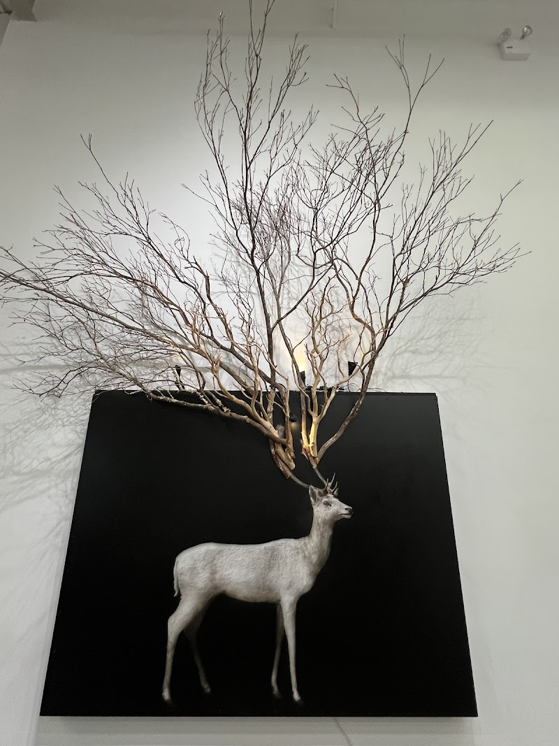 Hudson Valley MOCA photo 3