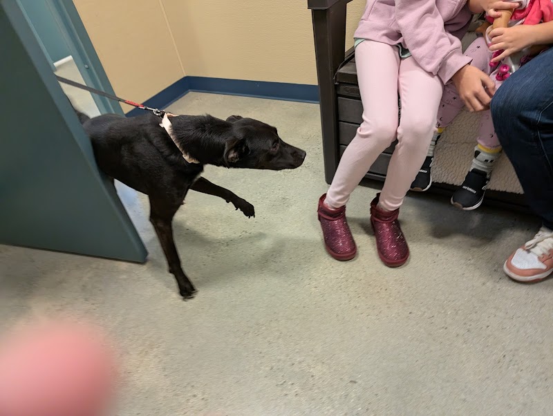 Humane Society of Westchester photo 4