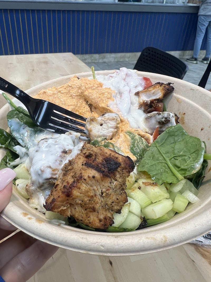 Hummus Mediterranean Holbrook photo 4