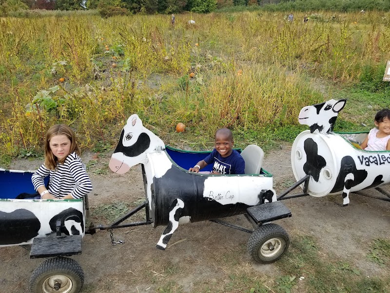 Hurds Family Farm photo 2
