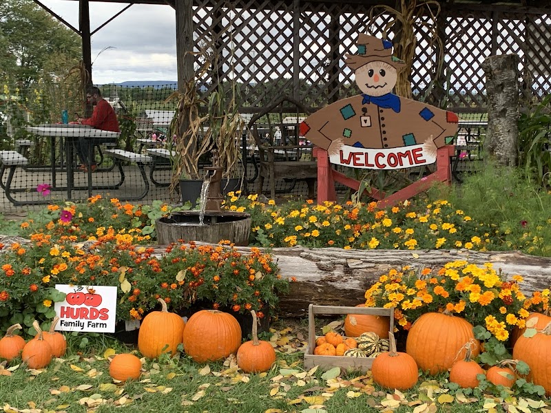 Hurds Family Farm photo 4