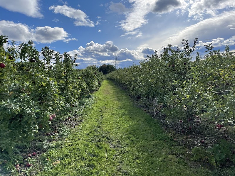 Hurds Family Farm photo 5