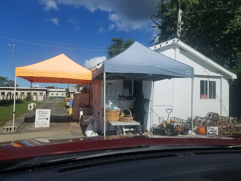 Iacono Farm photo 3