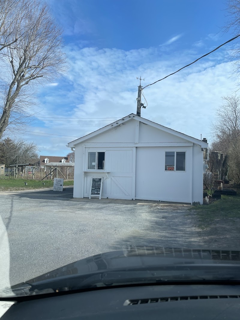 Iacono Farm photo 5