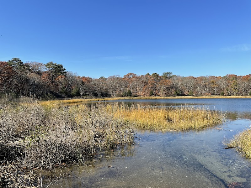 Indian Island County Park photo 5