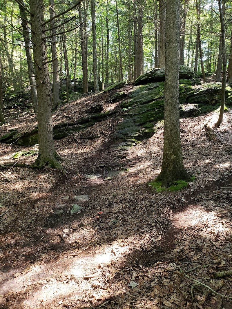 Indian Ledge Park photo 5