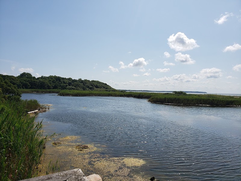 Inlet Pond County Park photo 2