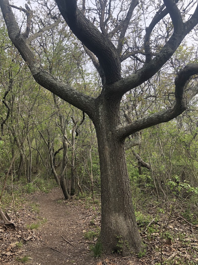 Inlet Pond County Park photo 3