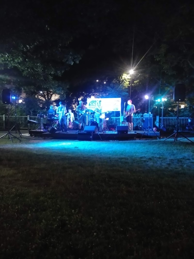Irving Freese Park photo 4