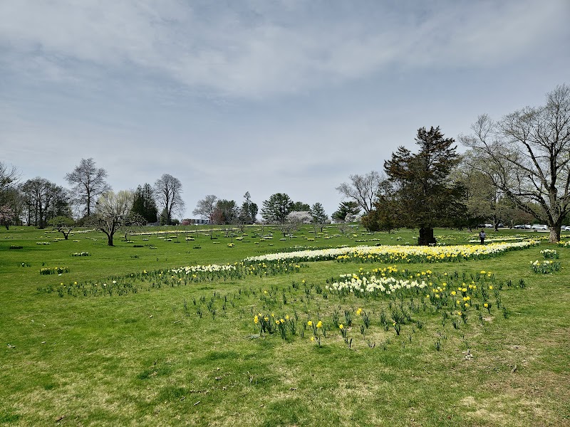 Irwin Park photo 2