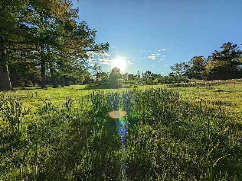 Irwin Park photo 4