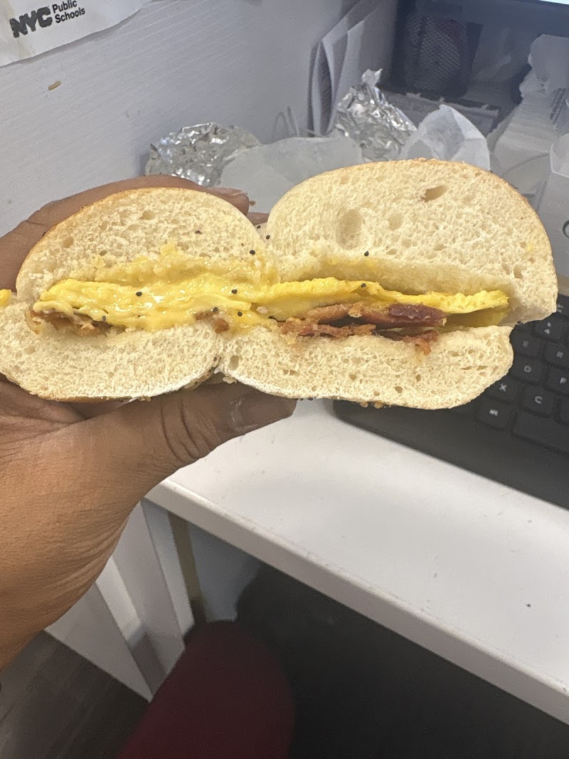 Island Bagel Bar Inc photo 3