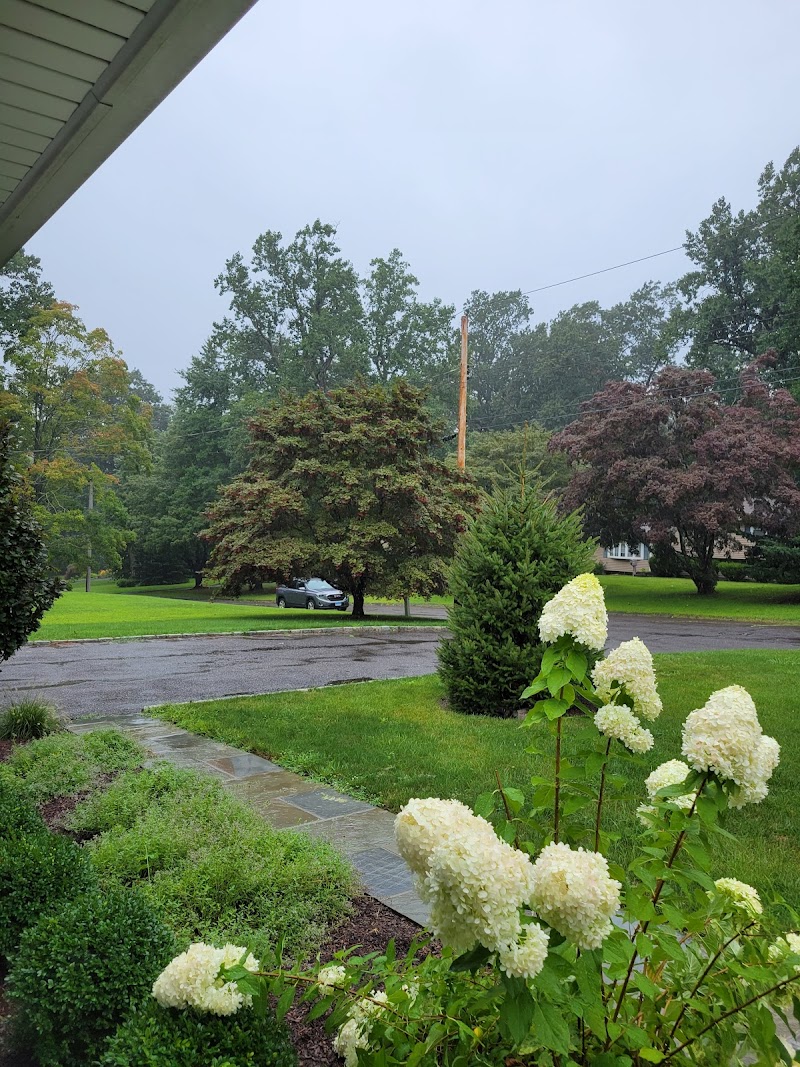 Island Brook Park photo 4