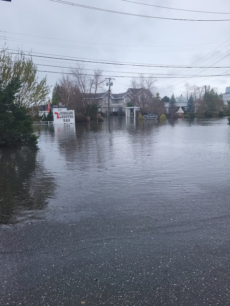 Island Park photo 3