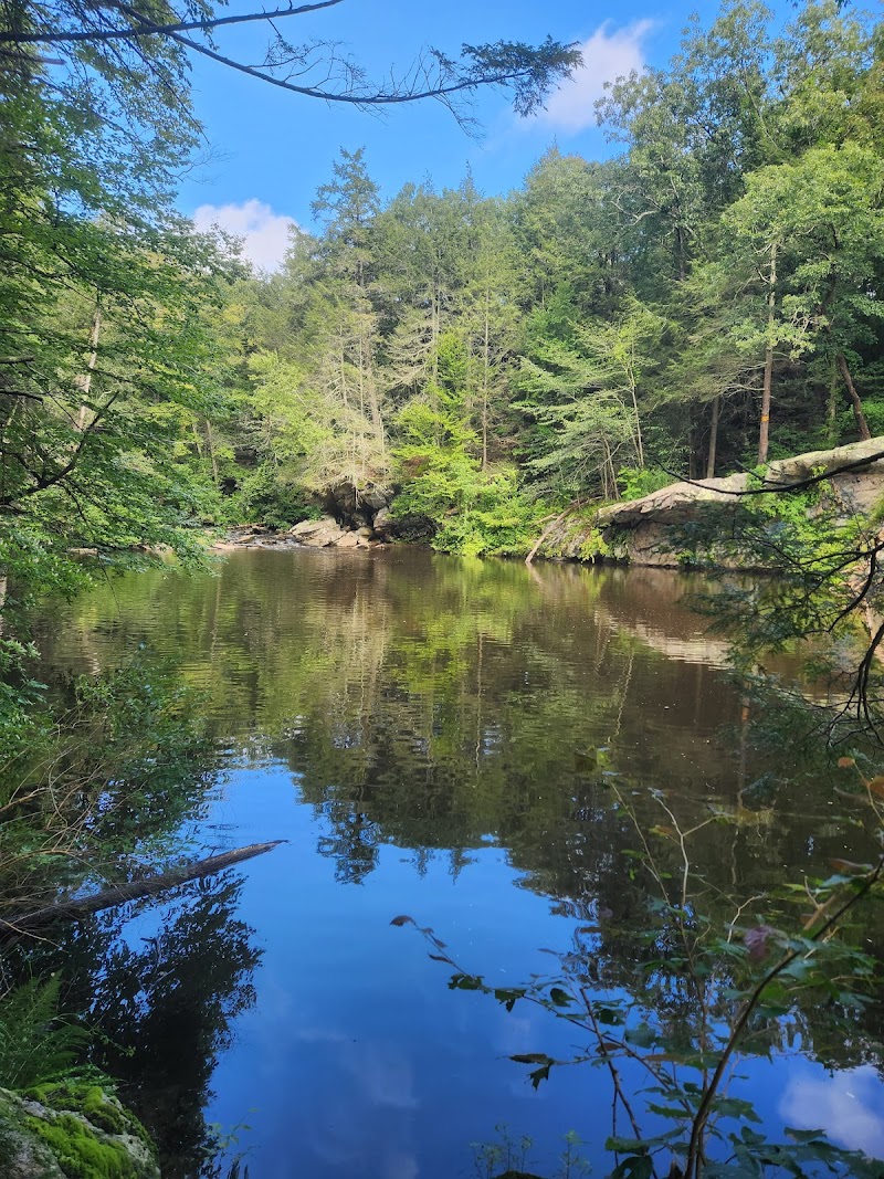 Ives Trail photo 2