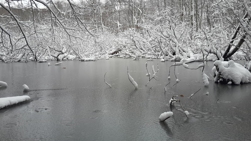 Ives Trail photo 4