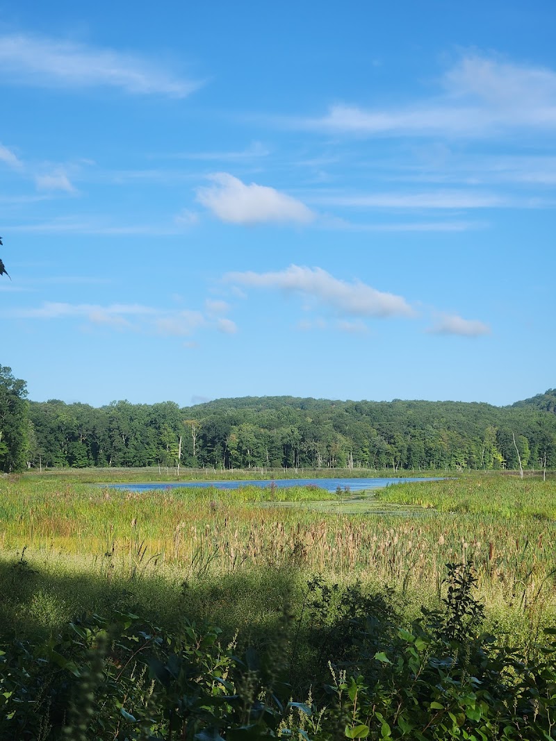 Ives Trail photo 5
