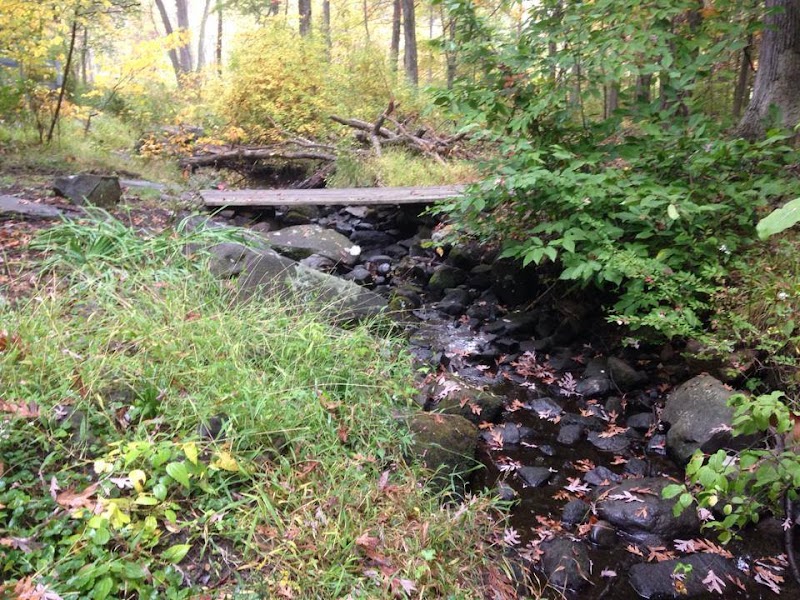 Jane E. Lytle Memorial Croton Arboretum photo 2