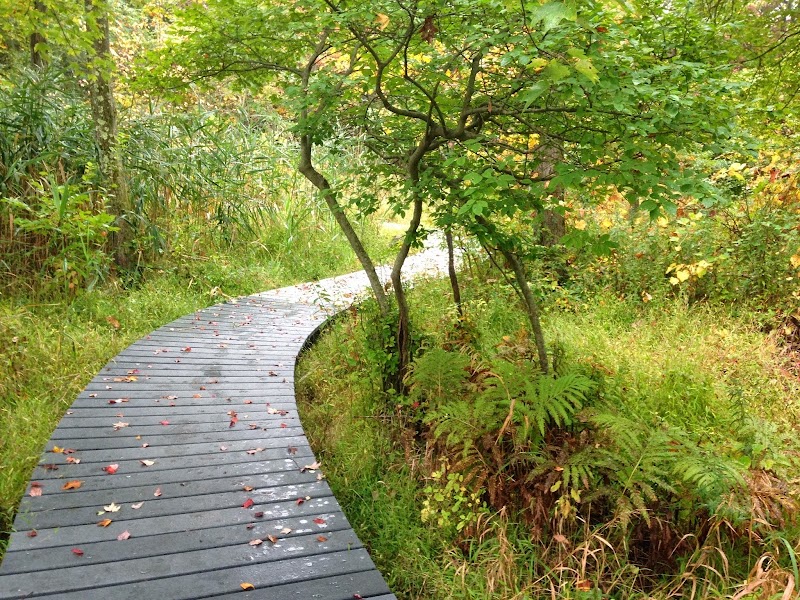 Jane E. Lytle Memorial Croton Arboretum photo 5