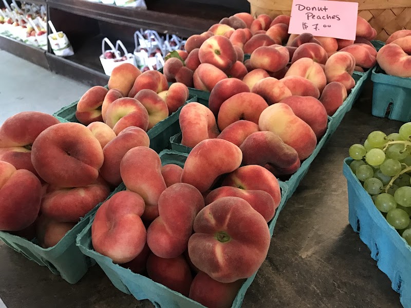 Jenkins - Lueken Orchards photo 2