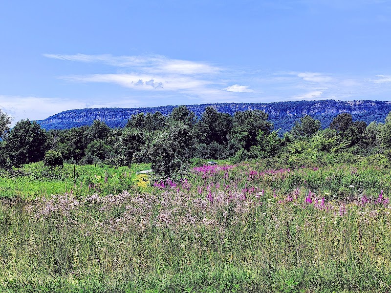 Jenkins - Lueken Orchards photo 3
