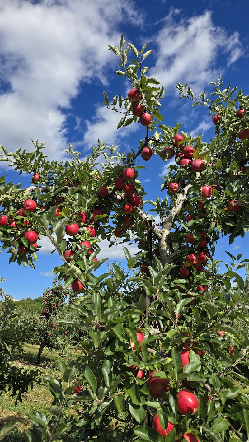 Jenkins - Lueken Orchards photo 5