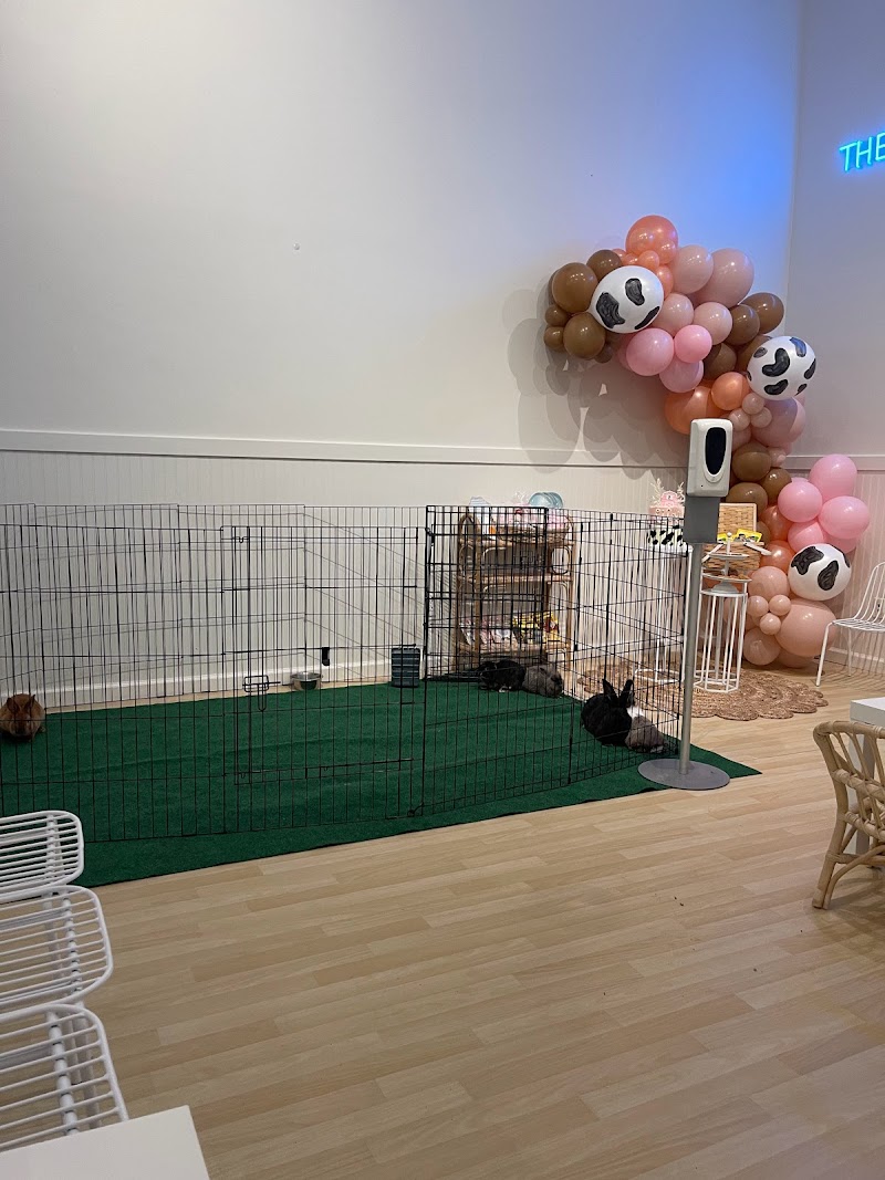 J&Js Playpen photo 3