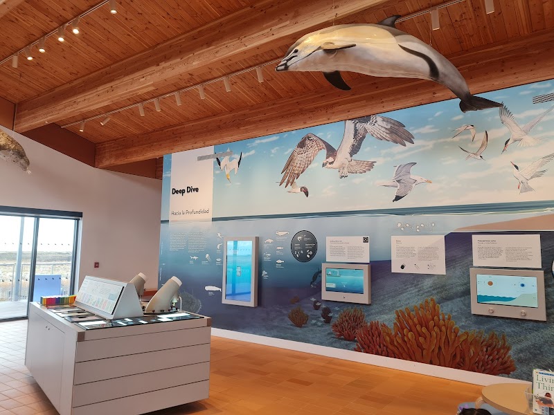 Jones Beach Energy & Nature Center photo 2