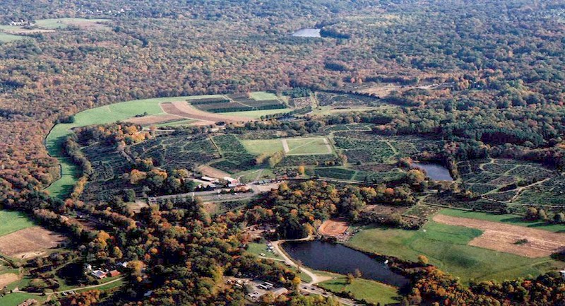 Jones Family Farms photo 2