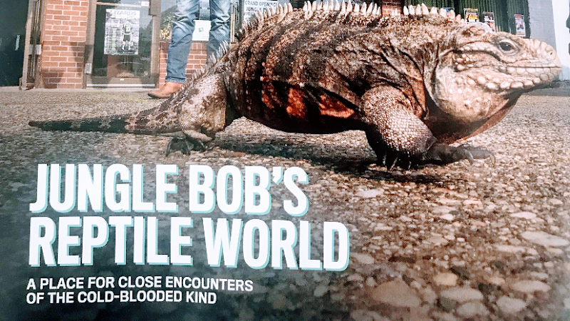 Jungle Bob's Reptile World photo 2
