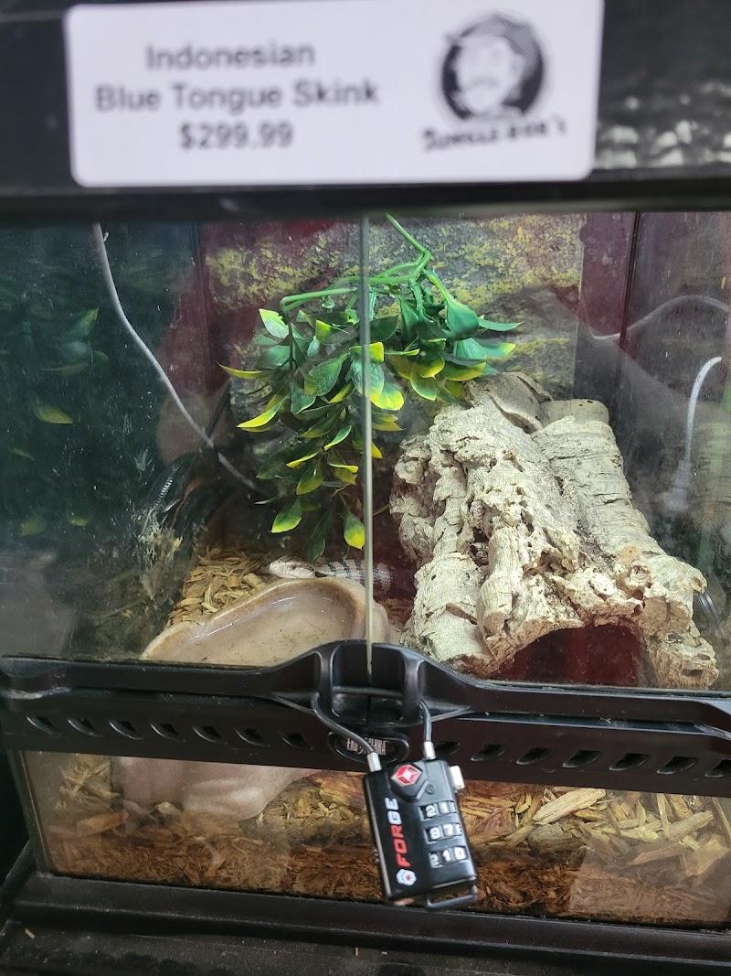 Jungle Bob's Reptile World photo 4