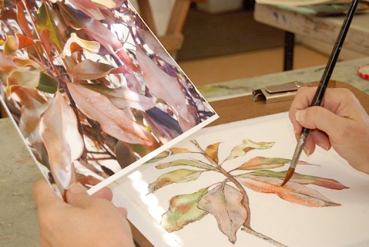 Katonah Art Center photo 5