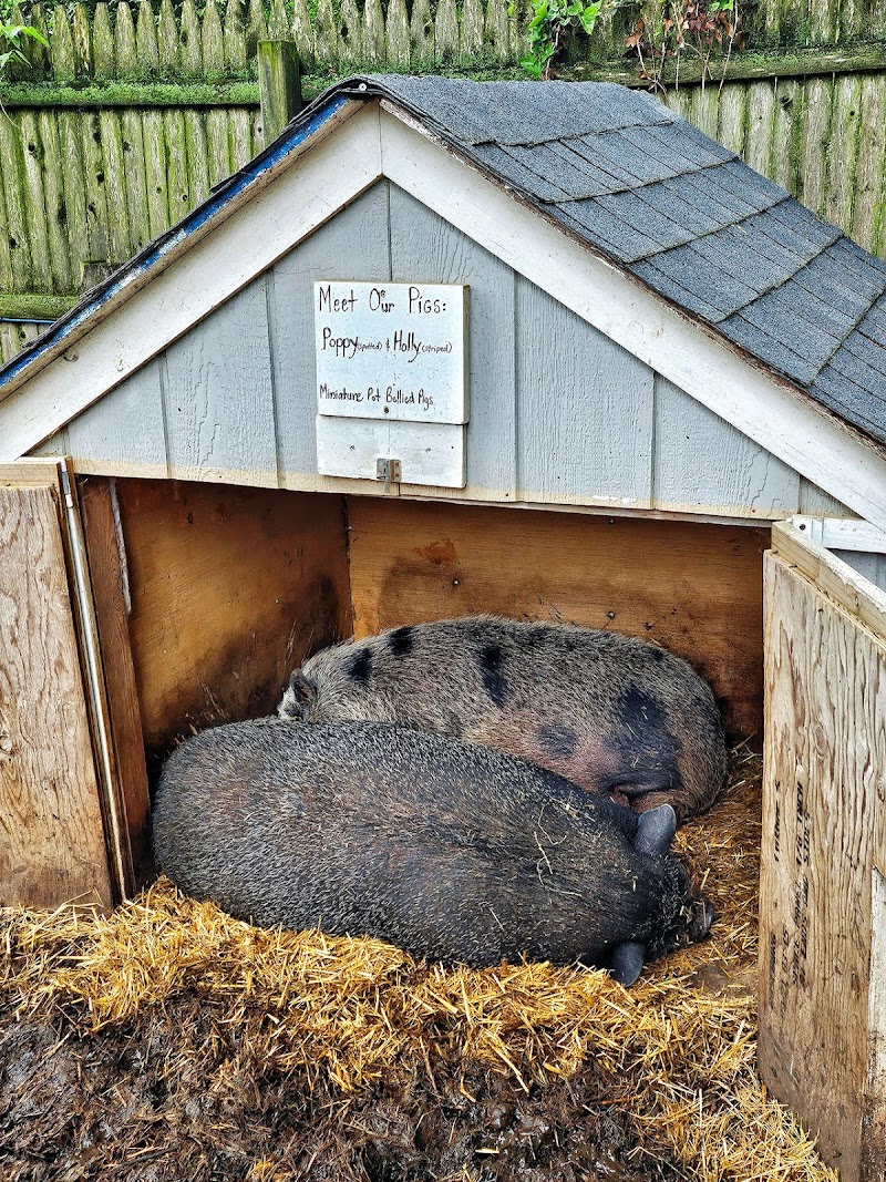 Kerber's Farm photo 5