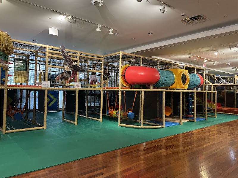 Kidz Klub Indoor Playground Danbury photo 3