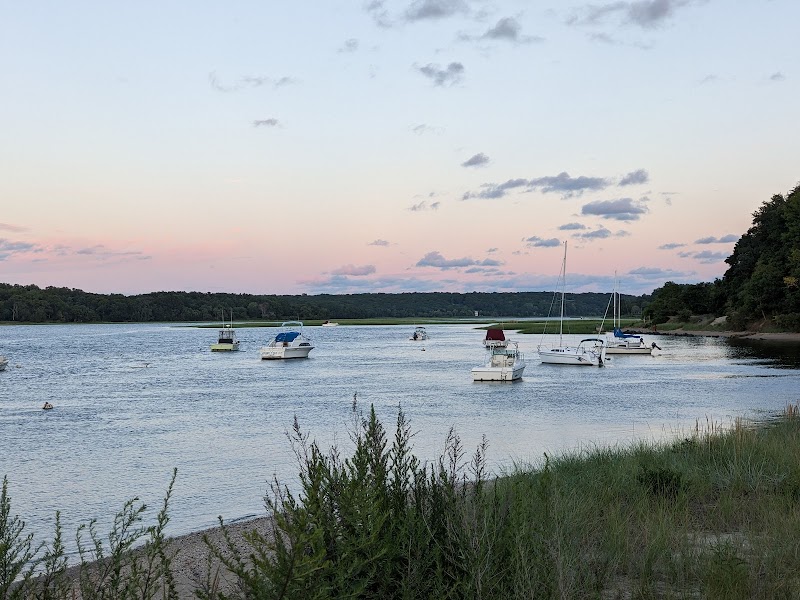 Kings Park Bluff photo 4