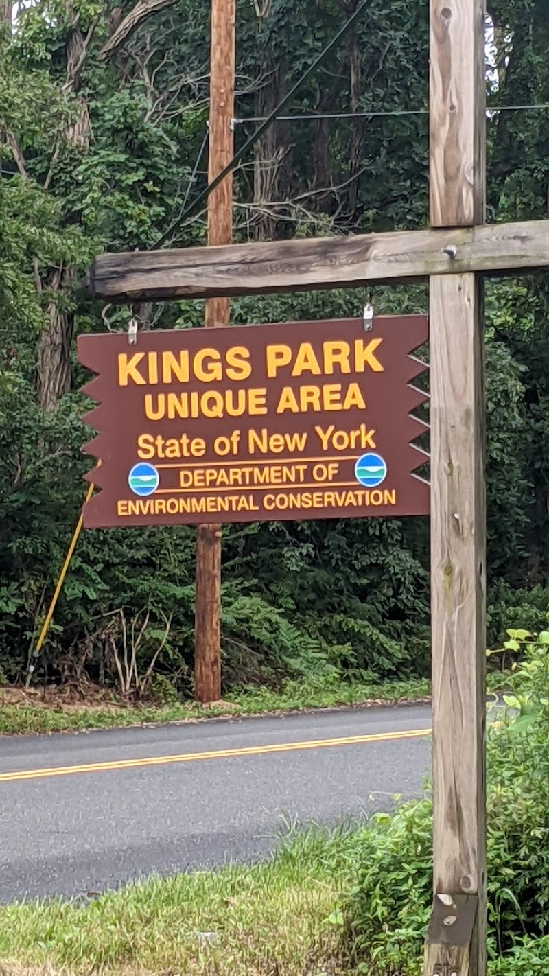Kings Park Unique Area photo 5