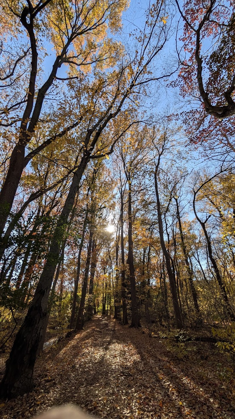 Kings Point Park, Field 2 photo 3