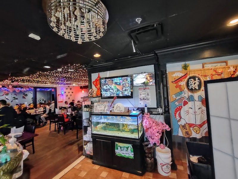 Kira Sushi photo 4