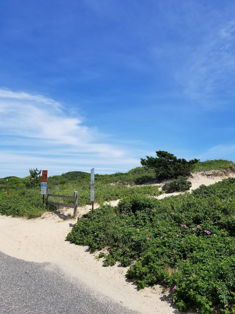 Kirk Park Beach photo 3