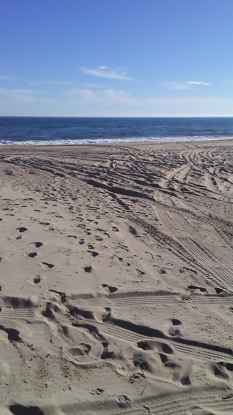 Kirk Park Beach photo 5