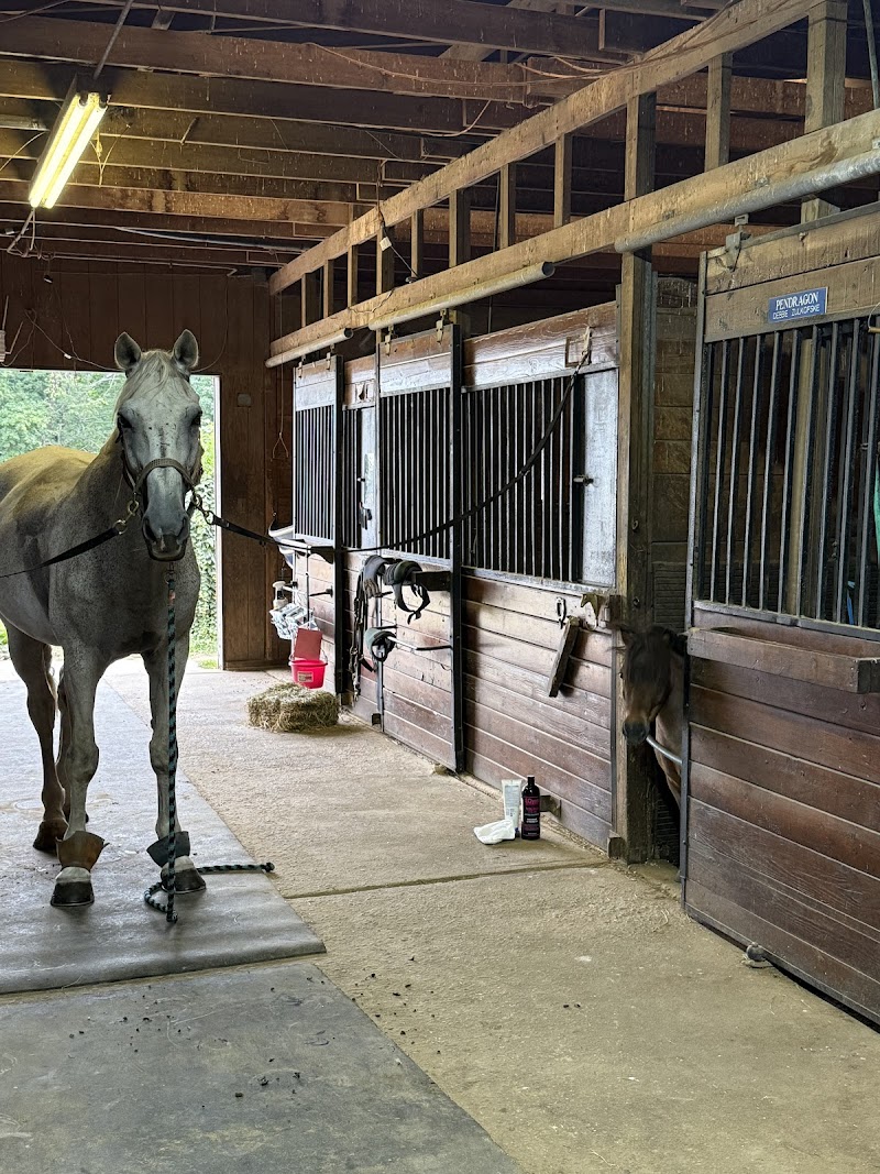 Knoll Farm photo 3