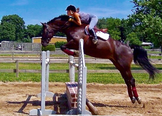 Knoll Farm photo 5