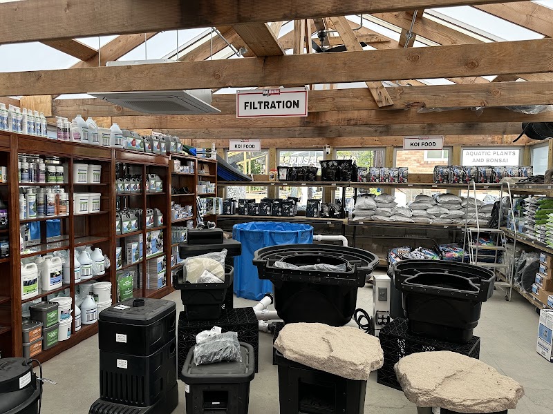Koi Market Aquatic Nursery photo 4