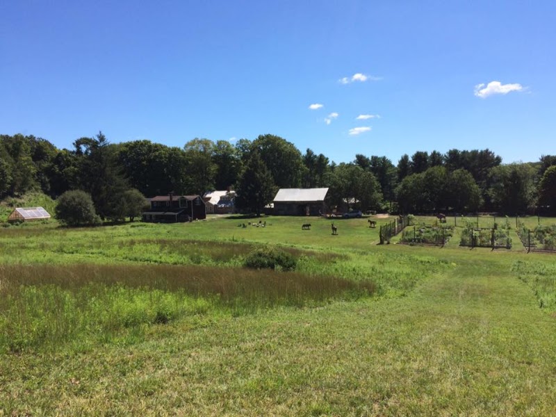 Lachat Town Farm